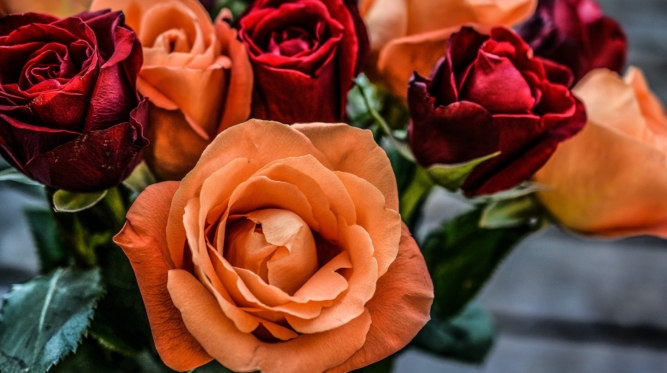 pexels-monicore-139099